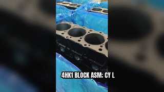 4HK1 BLOCK ASM; CY L
