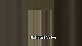 87618353-0 Exhaust Valve