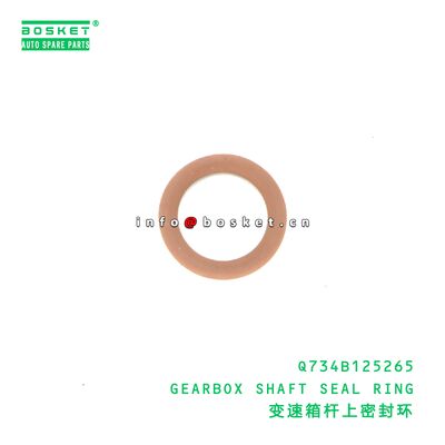 Q62404 HEXAGONAL CONICAL PLUG - OIL DRAIN PLUG suitable for JAC  Q62404
