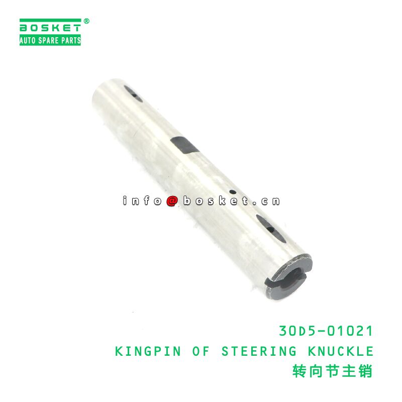 30D5-01021 KINGPIN OF STEERING KNUCKLE suitable for JAC N120 30D5-01021