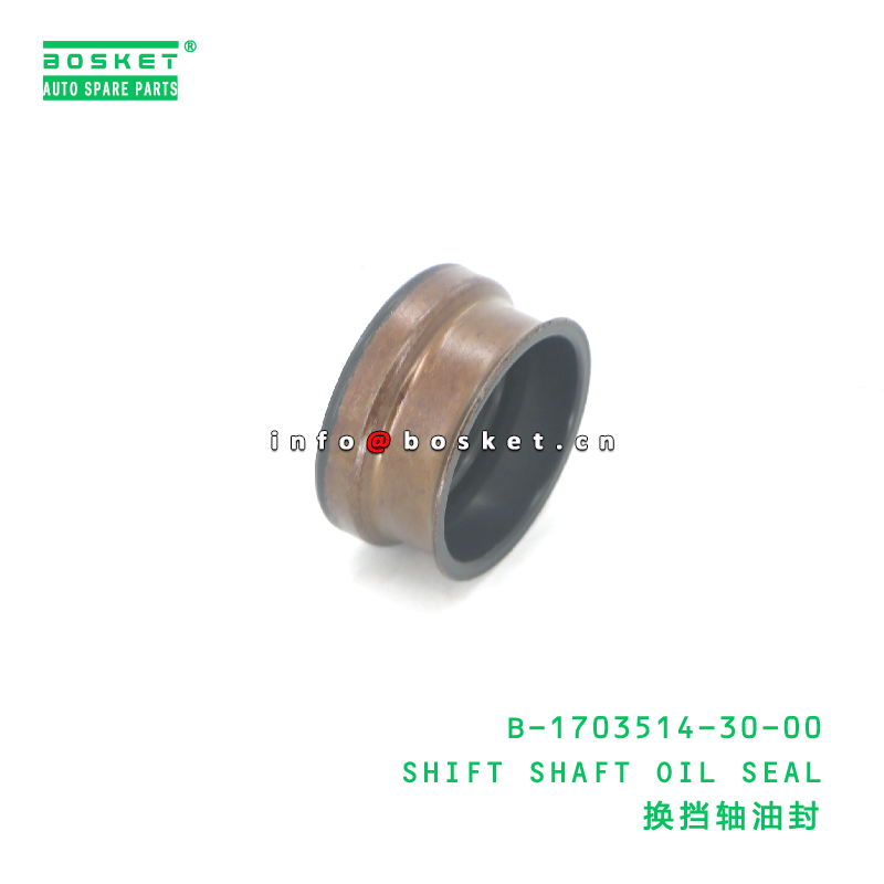 B-1703514-30-00 SHIFT SHAFT OIL SEAL suitable for JAC  B-1703514-30-00